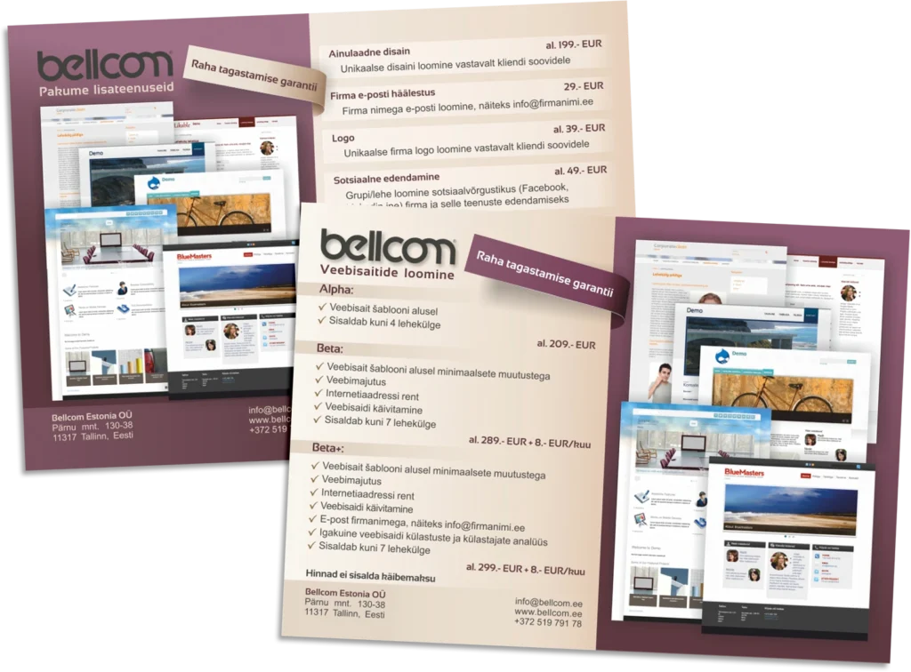Service brochure design for a web design and digital marketing agency with website previews and pricing layout.