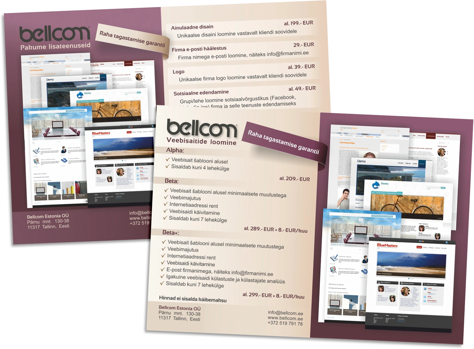 Service brochure design for a web design and digital marketing agency with website previews and pricing layout.